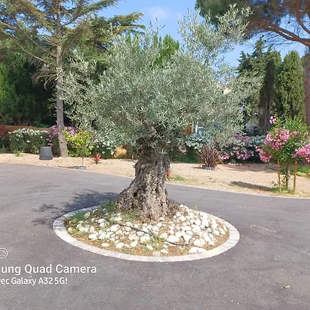Propriete Avec Piscine Sur 1800m2 Parking Prive Privatif 3 Dont 2 Parental Pas De Vis A Vis Clim Jeux Enfants Villa Serignan
